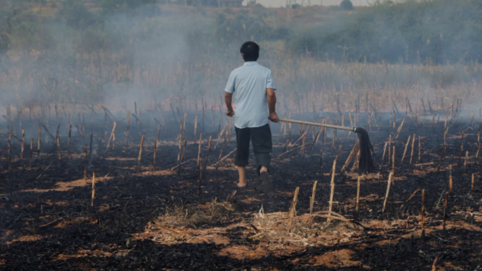 Global Climate Crisis Deepens in 2026 as Extreme Weather Disrupts Economies, Food Supply, and Energy Systems