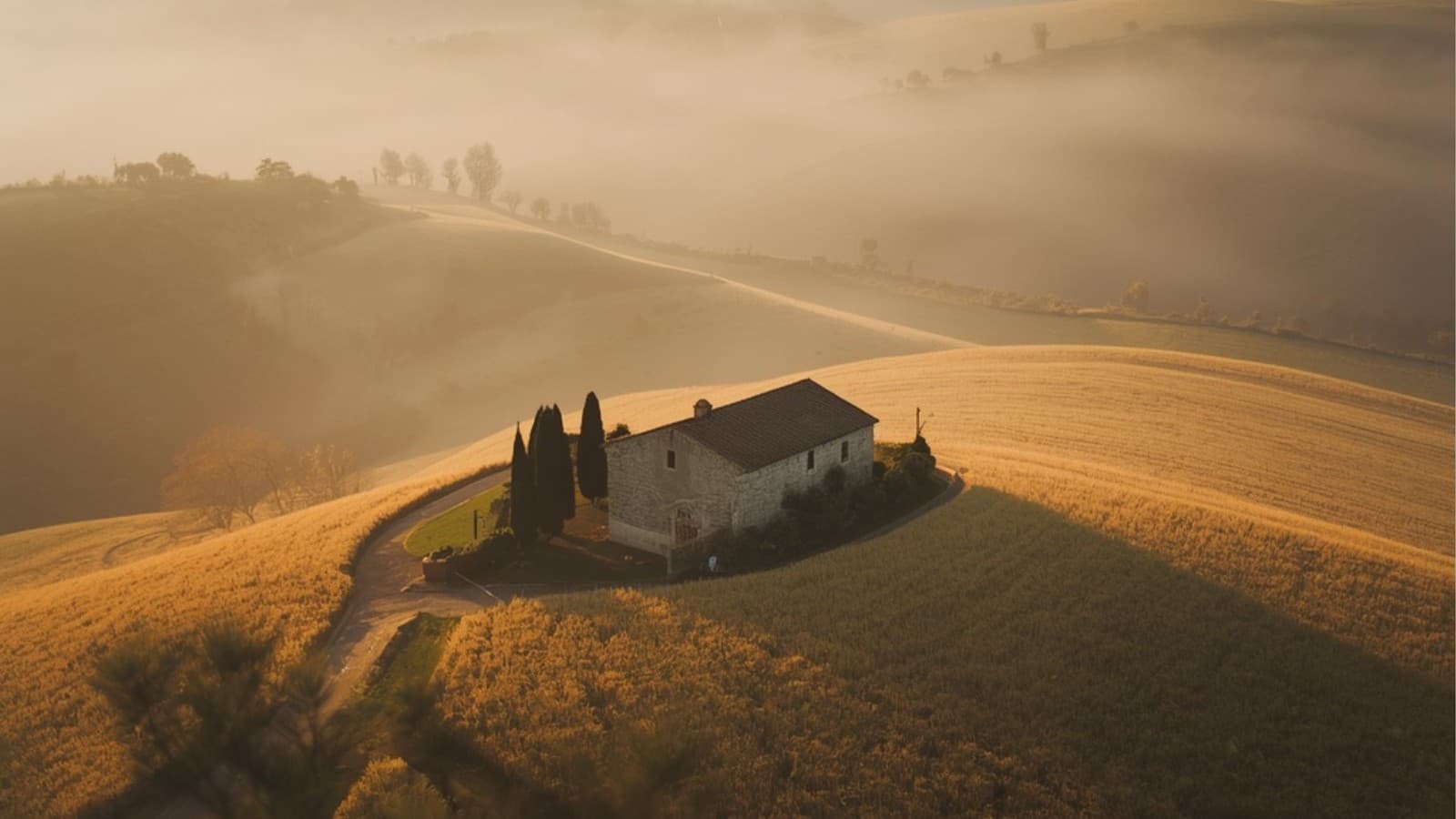 Tuscan Farmhouse Morning Views: Golden Wheat Fields, Soft Fog & Rustic Beauty